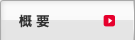 概要
